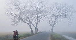 টানা শৈত্যপ্রবাহে বিপর্যস্ত পঞ্চগড়ের জনজীবন   