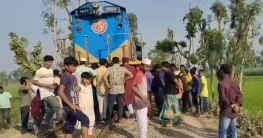 দুই গরুর সঙ্গে ধাক্কায় ট্রেনের ইঞ্জিন বিকল