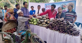 কুড়িগ্রামে ২ টাকার সবজি বাজার