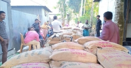 প্রণোদনার বীজ ও সার উদ্ধারের ঘটনায় প্রধান আসামি গ্রেপ্তার