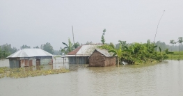 কুড়িগ্রাম জেলার বন্যা পরিস্থিতি