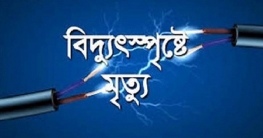 মসজিদের বিদ্যুৎ লাইন মেরামত করতেই নিথর সাব্বির