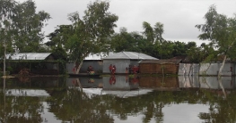 বিপৎসীমার ওপরে তিস্তার পানি