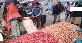 আগাম জাতের আলুর বাম্পার ফলন, দামে খুশি চাষিরা