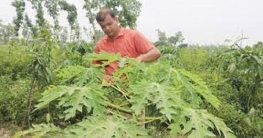 ব্যাংক কর্মকর্তা হয়েও সফল উদ্যোক্তা শাজাহান