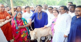 দিনাজপুরে ক্ষুদ্র নৃগোষ্ঠীদের মাঝে গরু ও ভেড়া বিতরণ  