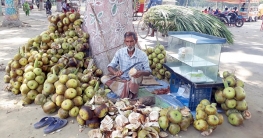 বরিশালের তালের শাঁসের কদর বেড়েছে দিনাজপুরে 