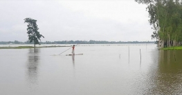 কুড়িগ্রামে বেড়েছে নদ-নদীর পানি, নিম্নাঞ্চল প্লাবিত