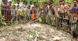 কবরস্থান থেকে একাধিক কঙ্কাল চুরি