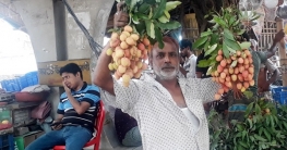 দিনাজপুরে অপরিপক্ক লিচু বিক্রির ধুম 