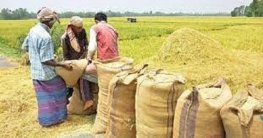 হিলিতে ধান সংগ্রহে উন্মুক্ত লটারির মাধ্যমে কৃষক নির্বাচন