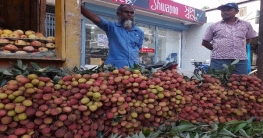 কম ফলনেও দামে খুশি লিচু চাষিরা