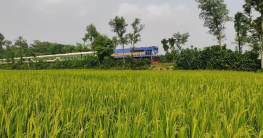 ট্রেনেই অপারেশন, মানবতার এক অনন্য দৃষ্টান্ত স্থাপন করলেন চিকিৎসক