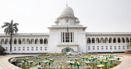 অন্তর্বর্তীকালীন সরকার গঠনের পক্ষে মত দিয়েছিলেন সুপ্রিম কোর্ট