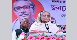 অগ্নিসংযোগকারীদের দৃষ্টান্তমূলক শাস্তি দেওয়া হবে: প্রধানমন্ত্রী