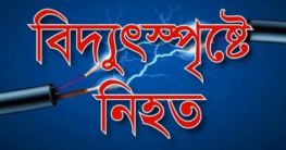 উলিপুরে বিদ্যুস্পৃষ্টে এক গৃহবধূর মৃত্যু